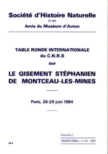 Le gisement stéphanien de Montceau-les-Mines Le gisement stéphanien de Montceau-les-Mines